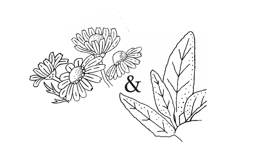 Le Soir