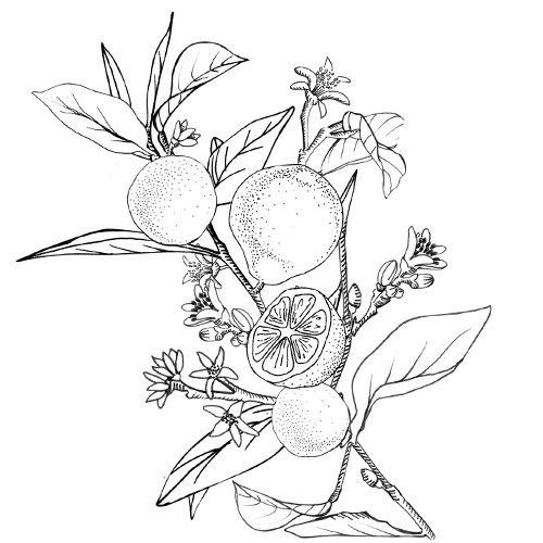 Gel Lavant Réconfortant